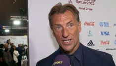 Herve Renard (fot. TVP)