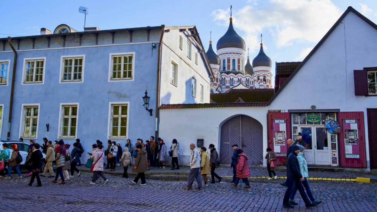 Pokonanie drogi to nie lada wyzwanie dla żab (fot. EyesWideOpen/Getty Images) Pokonanie drogi to nie lada wyzwanie dla żab (fot. EyesWideOpen/Getty Images)