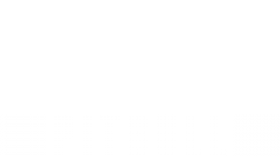 pitbull vod tvp pl telewizja polska
