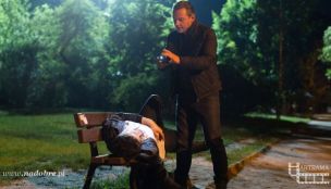 Wideo: Wiki mnie kocha!