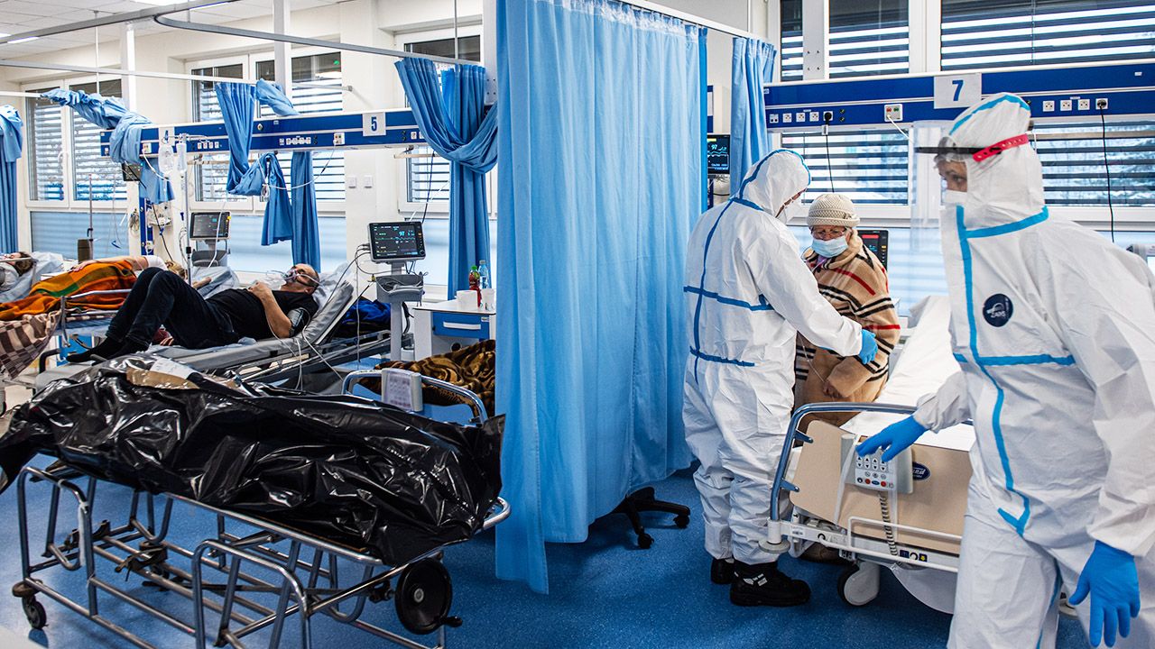 Nowe dane o zakażeniach koronawirusem w Polsce (fot. Omar Marques/Anadolu Agency via Getty Images)