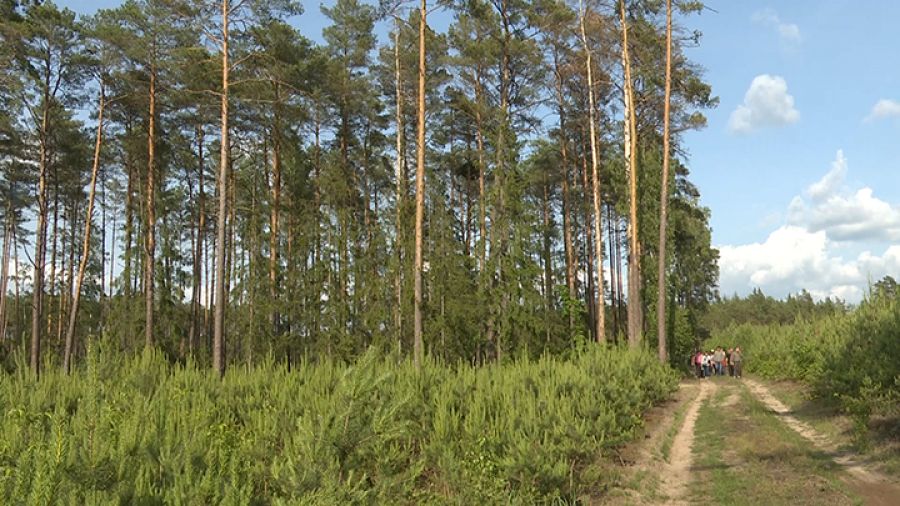 fot. TVP3 Białystok 