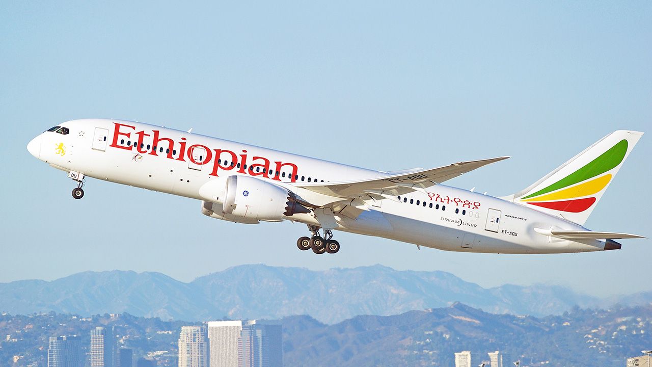 Etiopskie linie lotnicze to największy przewoźnik w Afryce (fot. Shutterstock/Philip Pilosian)