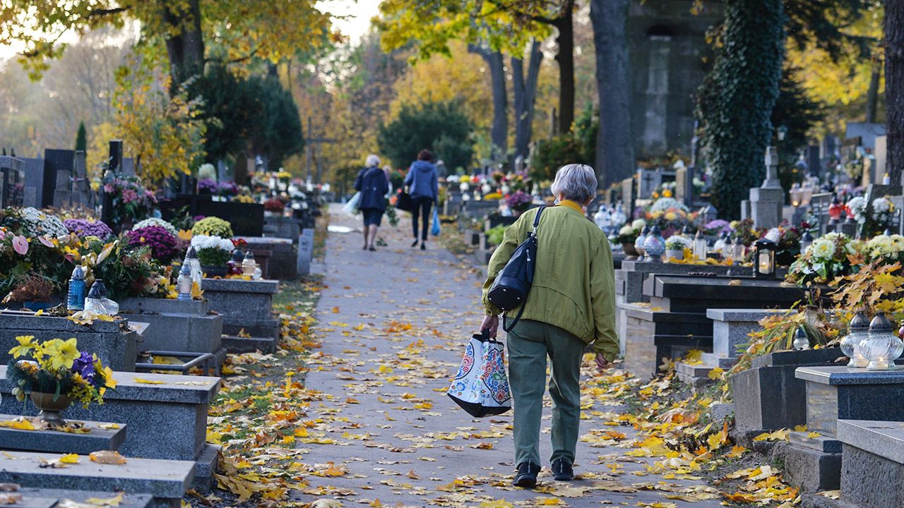 Do 1 listopada został tydzień (fot. Artur Widak/NurPhoto/Getty Images) Do 1 listopada został tydzień (fot. Artur Widak/NurPhoto/Getty Images)