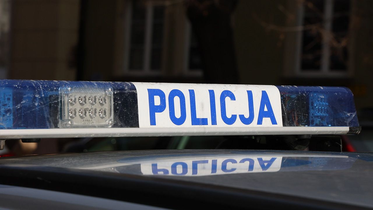 Śmiertelne potrącenie w woj. lubelskim (fot. Shutterstock) Śmiertelne potrącenie w woj. lubelskim (fot. Shutterstock)