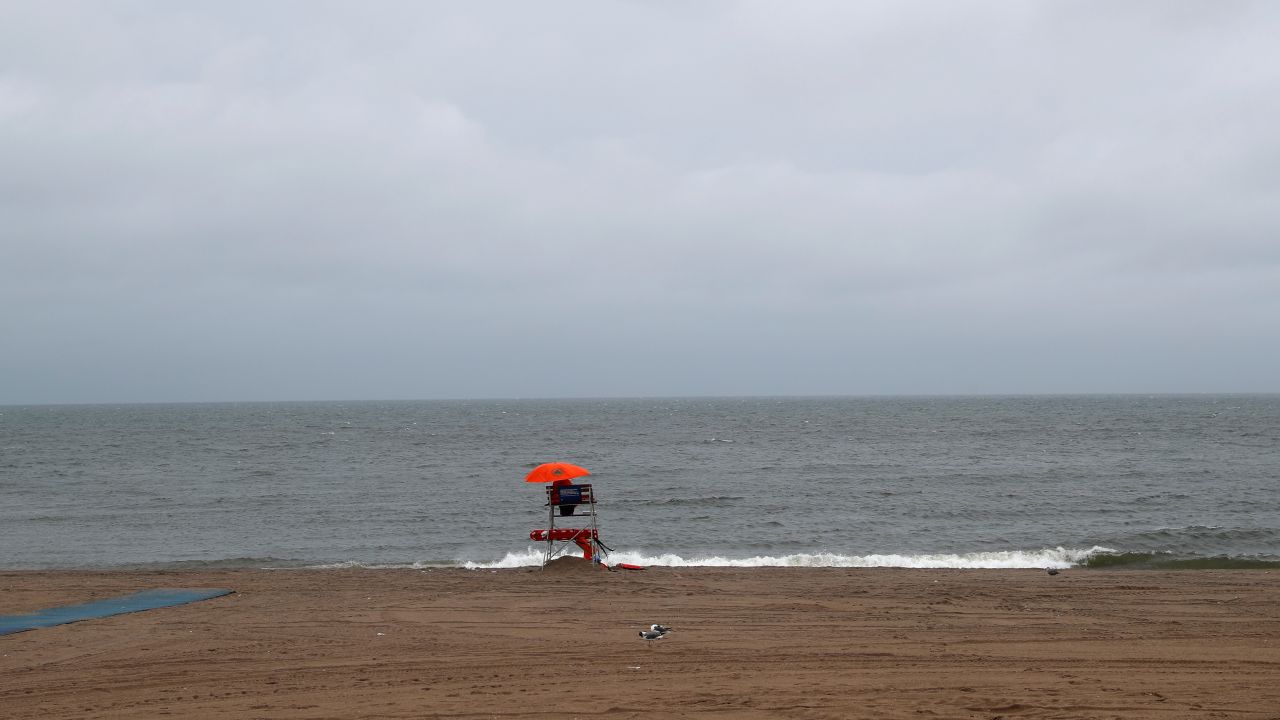 Policja poinformowała, że mózg znaleziony na plaży nie należał do człowieka (fot. REUTERS/Shannon Stapleton, zdjęcie ilustracyjne) Policja poinformowała, że mózg znaleziony na plaży nie należał do człowieka (fot. REUTERS/Shannon Stapleton, zdjęcie ilustracyjne)