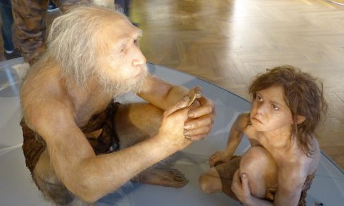Muzeum Historii Naturalnej w Wiedniu. Rekonstrukcja tkanki miękkiej męskiego homo neanderthalensis (La-Chapelle-aux-Saints 1, Francja) z dzieckiem (Gibraltar 2, Devil's Tower, UK). Fot. Wikimedia/Wolfgang Sauber, CC BY-SA 4.0