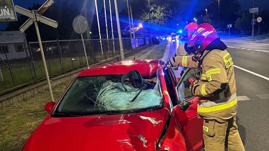 Pieszy wpadł na maskę auta. Niestety, obrażenia okazały się śmiertelne (fot. KM PSP w Toruniu)
