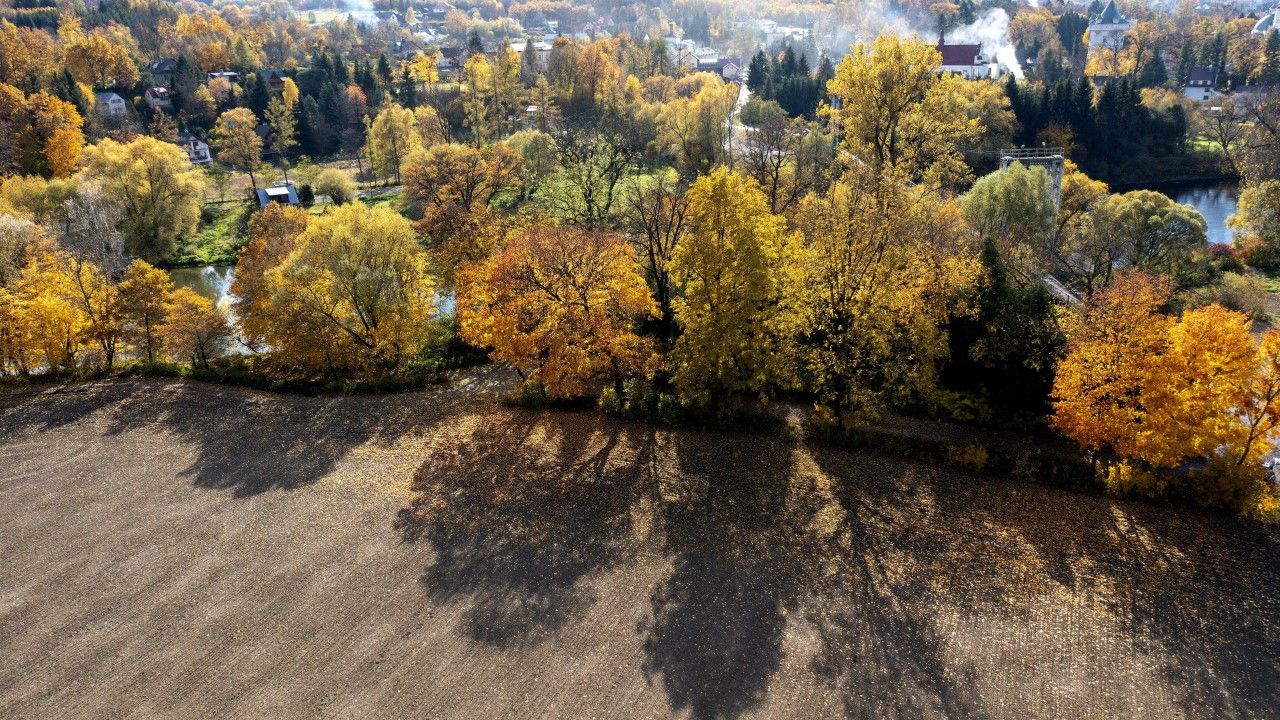 Do niedzieli ma być pogodnie w całym kraju (fot. PAP/Darek Delmanowicz) Do niedzieli ma być pogodnie w całym kraju (fot. PAP/Darek Delmanowicz)