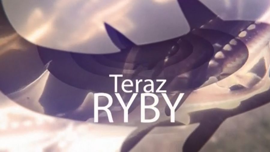 Teraz Ryby