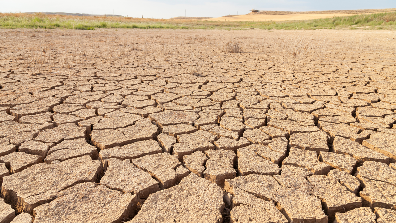 Największa susza w historii Hiszpanii (fot. Shutterstock)