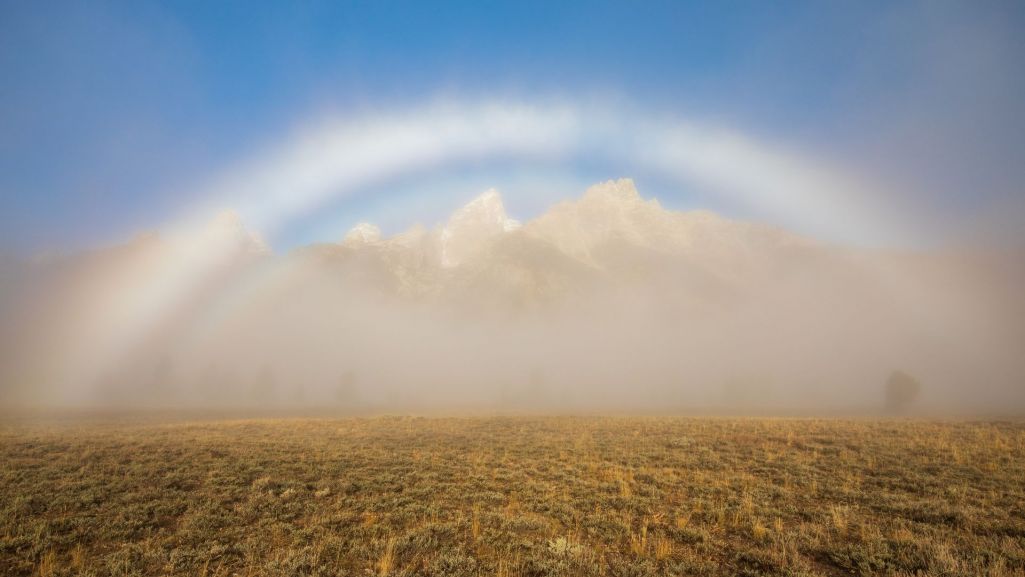 Fogbows to potocznie mówiąc biała tęcza, choć tak naprawdę na miano tęczy nie zasługuje, bowiem z założenia zjawisko to powinno być kolorowe, a jest zupełnie białe. Fot. Tom Tietz/Shutterstock