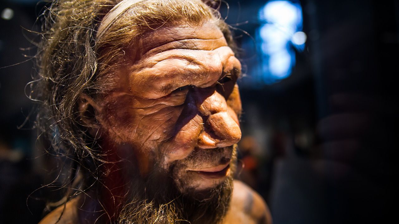 Odkrycia dokonano na terenie złoża archeologicznego Abric Romani (fot. Shutterstock) Odkrycia dokonano na terenie złoża archeologicznego Abric Romani (fot. Shutterstock)