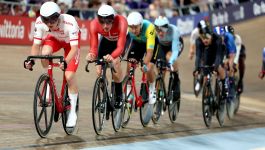 Kolarstwo torowe, mistrzostwa Europy w Heusden-Zolder – dzień 3. Transmisja online na żywo w TVP Sport (14.02.2025)