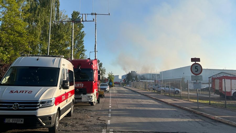 Fot. Gabriela Kosowska | TVP3 Katowice 