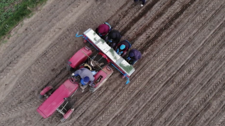 Dobra informacja dla rolników. Będzie cło na produkty z Rosji i Białorusi