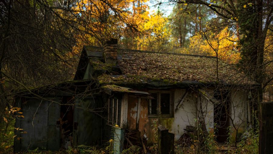„Kierunek URBEX”. Eksploracja opuszczonej wioski w środku lasu - fot. Piotr Waleron