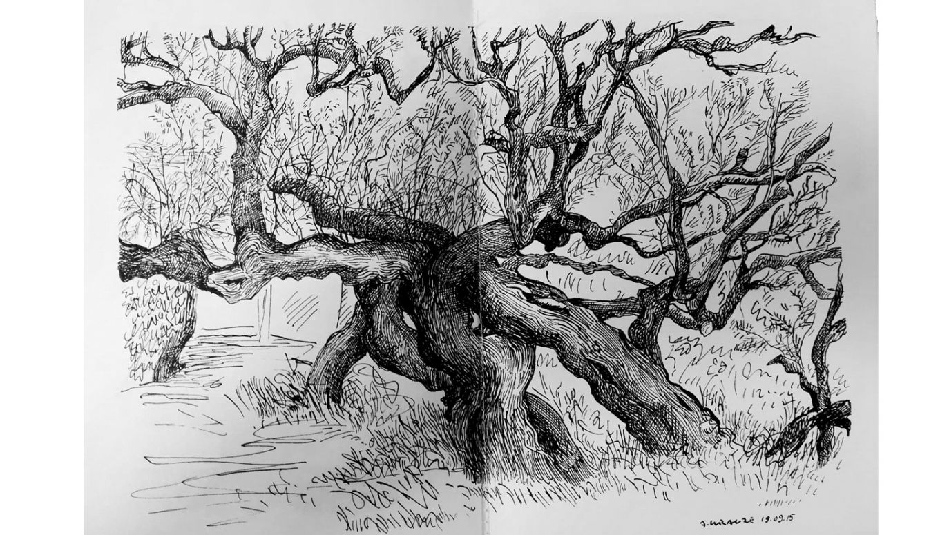 Depresja Rysownika Na Terapię Wybrał Wycinanki Wystawa