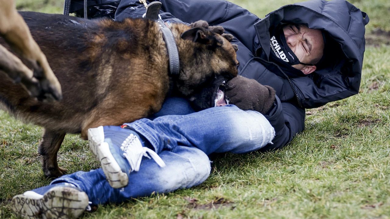 Burmistrz ogłosiła śródmieście „strefą wysokiego ryzyka” (fot. PAP/EPA/ROBIN VAN LONKHUIJSEN) Burmistrz ogłosiła śródmieście „strefą wysokiego ryzyka” (fot. PAP/EPA/ROBIN VAN LONKHUIJSEN)